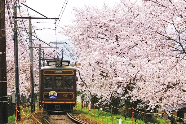 19 関西 桜絶景 おすすめ30選 名所から穴場 開花時期 見頃 混雑情報も ローリエプレス