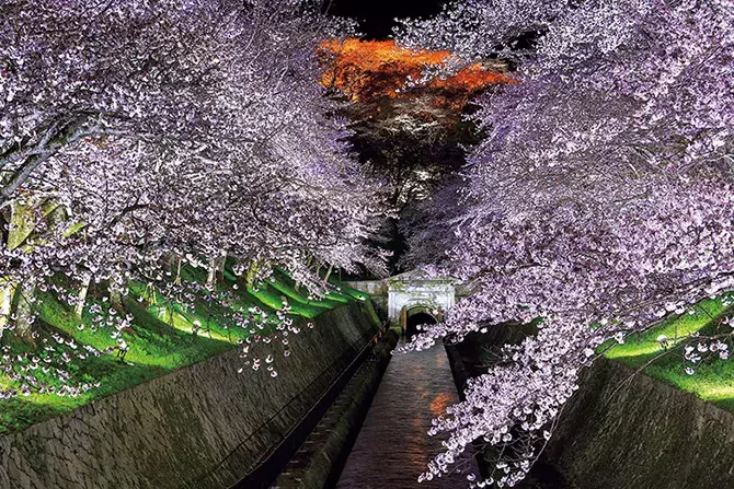 19 関西 桜絶景 おすすめ30選 名所から穴場 開花時期 見頃 混雑情報も ローリエプレス