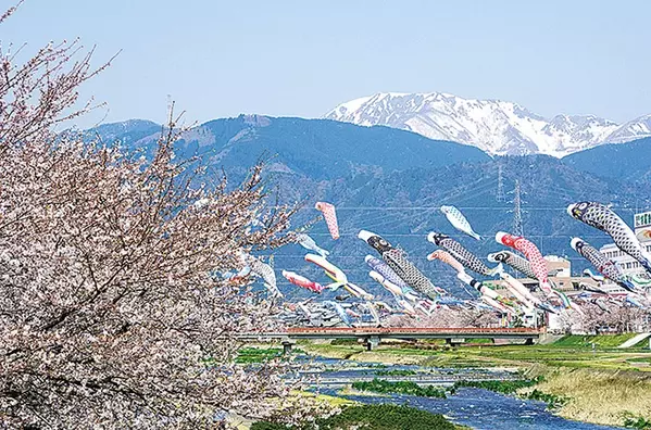 東海 19年桜まつり 花見イベント26選 見頃をチェック ローリエプレス