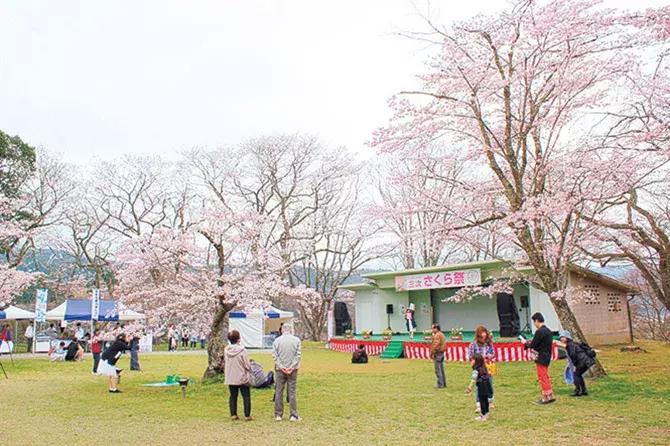 19 中国 四国 桜絶景 おすすめ23選 名所から穴場 開花時期 見頃 混雑情報も ローリエプレス