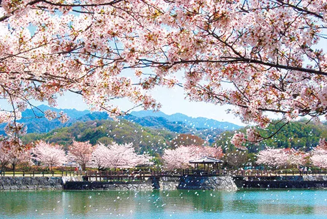 19 中国 四国 桜絶景 おすすめ23選 名所から穴場 開花時期 見頃 混雑情報も ローリエプレス