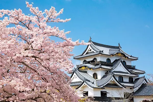 関西 19年桜まつり 花見イベント18選 おすすめの桜名所 見頃情報も ローリエプレス