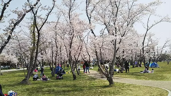 19 東海の 桜絶景 33選 名所や見頃 グルメ ライトアップ情報も ローリエプレス