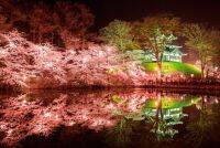 関東近郊「夜桜が楽しめる！」ライトアップお花見スポット33選【2019】