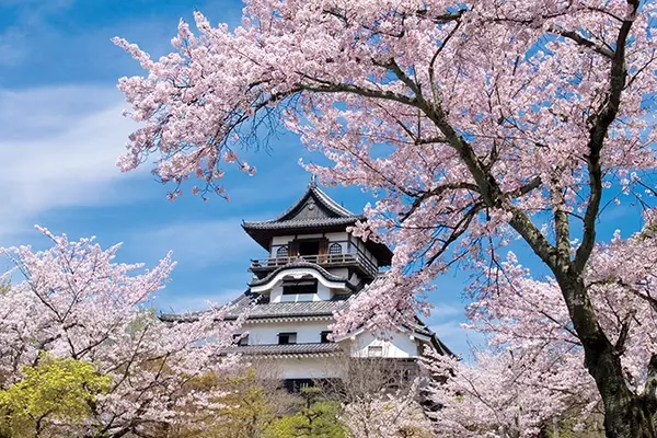 名古屋城 犬山城 城と桜 の最強コンビ6選 城下町グルメ情報も 東海 ローリエプレス