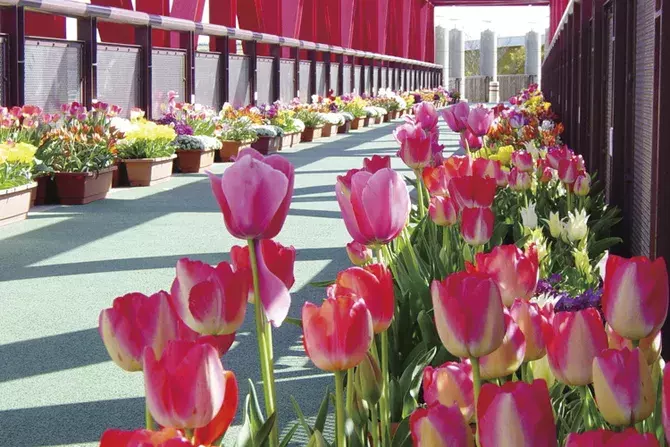 東海 子どもとお出かけしたいスポット18選 春休みやゴールデンウィークにも ローリエプレス 東海 子どもとお出かけしたいスポット18選 春休みやゴールデンウィークにも ローリエプレス