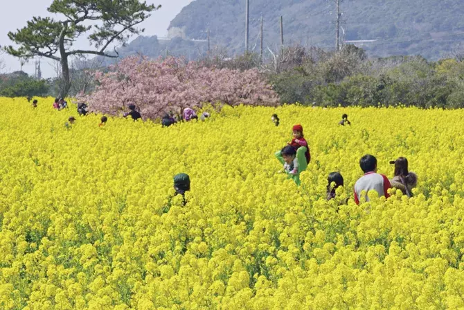 東海 子どもとお出かけしたいスポット18選 春休みやゴールデンウィークにも ローリエプレス 東海 子どもとお出かけしたいスポット18選 春休みやゴールデンウィークにも ローリエプレス