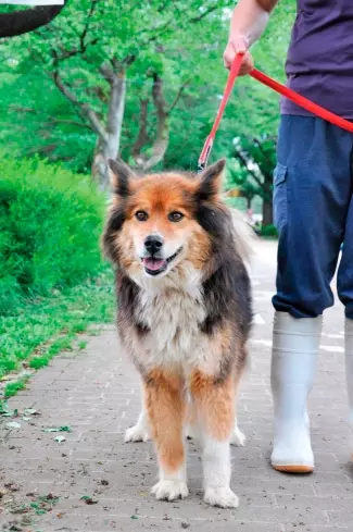 関東近郊 コスパのいい お出かけスポット イベント 37選 春休みにおすすめ ローリエプレス