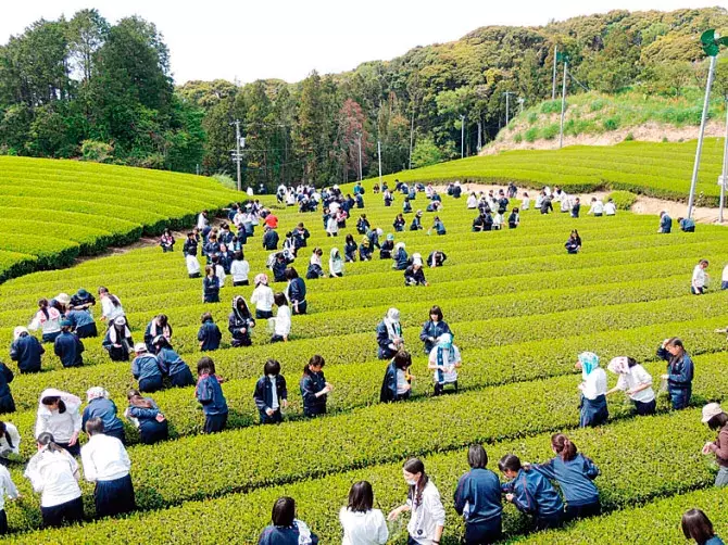 関東近郊 コスパのいい お出かけスポット イベント 37選 春休みにおすすめ ローリエプレス