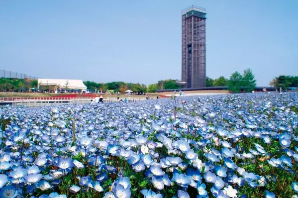 関東近郊 コスパのいい お出かけスポット イベント 37選 春休みにおすすめ ローリエプレス