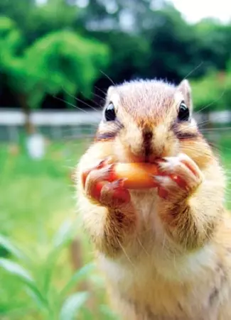 関東近郊 コスパのいい お出かけスポット イベント 37選 春休みにおすすめ ローリエプレス