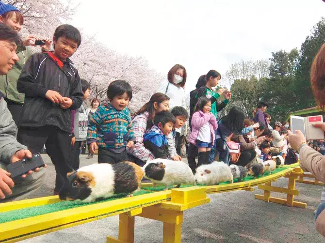 関東近郊 コスパのいい お出かけスポット イベント 37選 春休みにおすすめ ローリエプレス