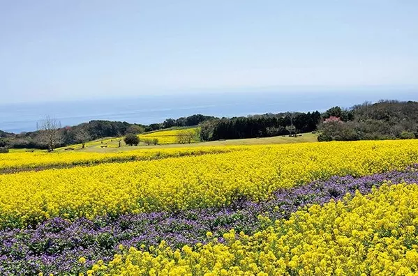 兵庫 淡路島ドライブスポットおすすめ12選 定番の観光や花絶景 グルメも ローリエプレス