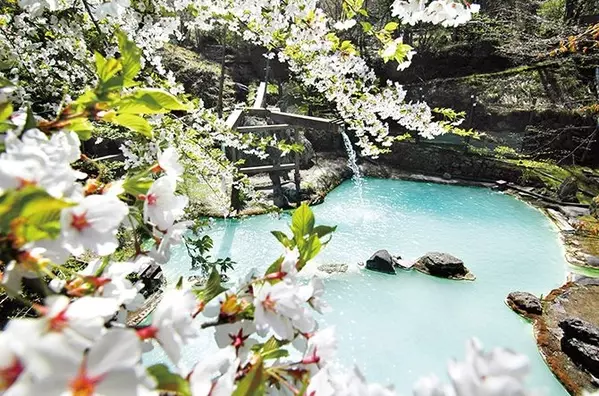 関東近郊の 花見露天風呂 がある日帰り温泉７選 春の桜絶景は湯けむり越しに ローリエプレス