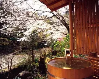 関東近郊の 花見露天風呂 がある日帰り温泉７選 春の桜絶景は湯けむり越しに ローリエプレス