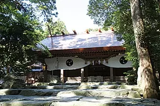 春の日帰りドライブデート 彼女の タイプ別 おすすめ15コース 東海 ローリエプレス