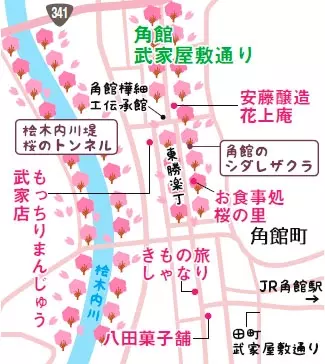 角館の桜まつり19 お花見名所 武家屋敷 シダレザクラの見頃情報も 秋田 ローリエプレス