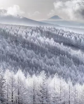 美しすぎる 冬絶景 13選 自然が作り出す冬の芸術に感動 全国 ローリエプレス 美しすぎる 冬絶景 13選 自然が作り出す冬の芸術に感動 全国 ローリエプレス