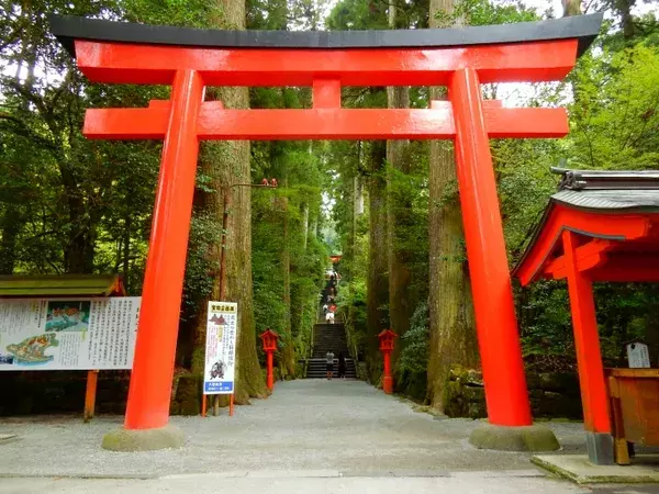 箱根 ひとり旅におすすめのスポット10選 自由気ままな旅へ出かけよう ローリエプレス 箱根 ひとり旅におすすめのスポット10選 自由気ままな旅へ出かけよう ローリエプレス