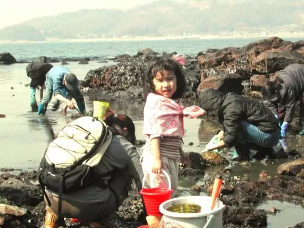 19 愛知おすすめ潮干狩りスポット9選 持ち物や服装 開催期間の情報も ローリエプレス