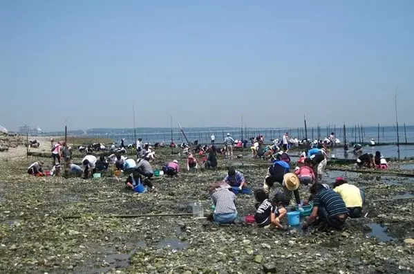 19 愛知おすすめ潮干狩りスポット9選 持ち物や服装 開催期間の情報も ローリエプレス