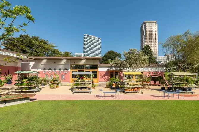 植物と花に囲まれる シェア グリーン 南青山 は都会のオアシスだった 東京 ローリエプレス