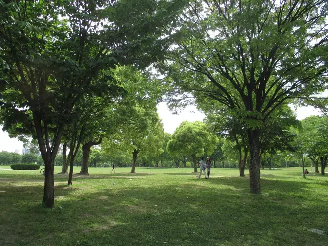 大阪 子どもが喜ぶ公園おすすめ17選 遊具に動物ふれあいなど遊び場たくさん ローリエプレス