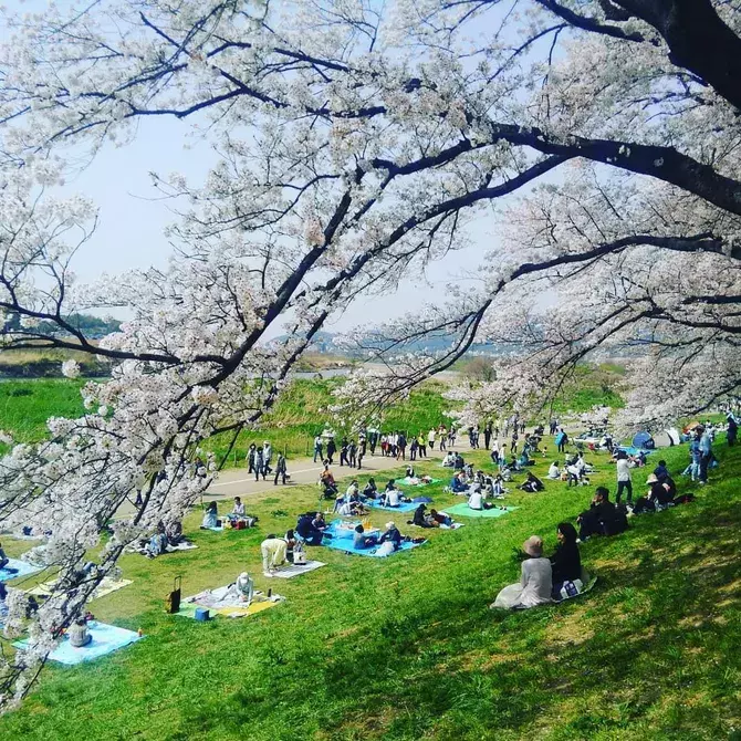 大阪 子どもが喜ぶ公園おすすめ17選 遊具に動物ふれあいなど遊び場たくさん ローリエプレス