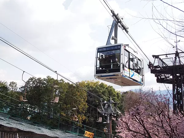 四国旅行どこ行く 観光おすすめスポット お城 温泉 グルメ巡りモデルコースも紹介 ローリエプレス