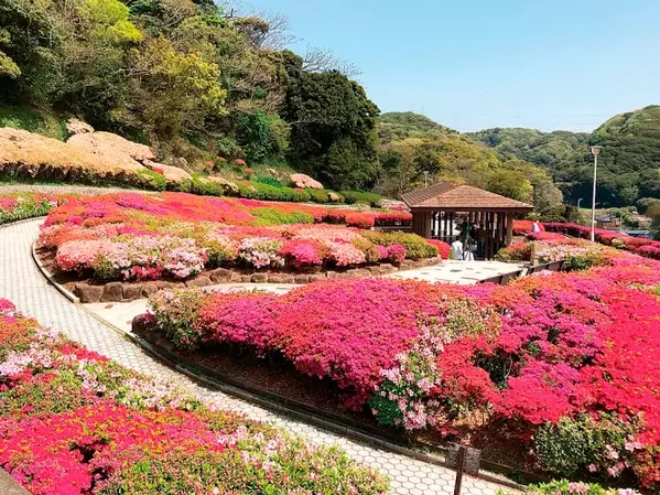 関東近郊 春の 花絶景 おすすめ43選 芝桜 つつじ 藤が今見頃 19gwにも ローリエプレス