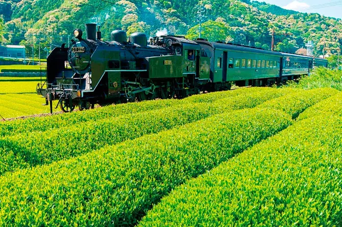 関東近郊 日帰りドライブコース14選 春デートやgwの観光にもおすすめ ローリエプレス