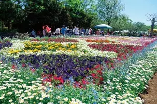 関東近郊 19gwが見頃の 花まつり 花イベント お花畑 まとめ ローリエプレス