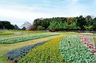 関東近郊 19gwが見頃の 花まつり 花イベント お花畑 まとめ ローリエプレス