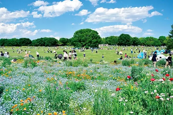 関東近郊 19gwが見頃の 花まつり 花イベント お花畑 まとめ ローリエプレス