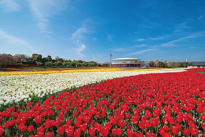 春の絶景 お花畑 12選 東海 ゴールデンウィークの日帰りデートにもオススメ ローリエプレス