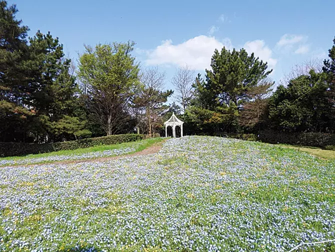 春の絶景 お花畑 12選 東海 ゴールデンウィークの日帰りデートにもオススメ ローリエプレス