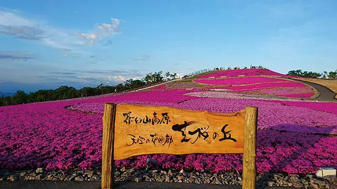 春の絶景 お花畑 12選 東海 ゴールデンウィークの日帰りデートにもオススメ ローリエプレス