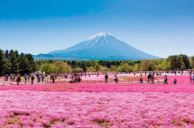関東近郊 19年ゴールデンウィーク開催のイベント74選 デートや子連れにもおすすめ ローリエプレス