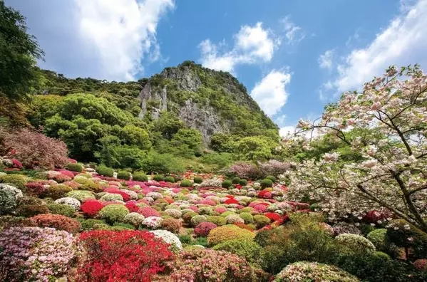 九州の穴場絶景11選 花絶景 新緑はゴールデンウィークが見頃 19 ローリエプレス
