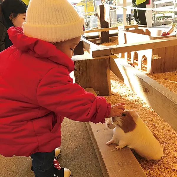 子ども無料 格安で一日過ごせる遊び場 観光スポット選 東海 ローリエプレス