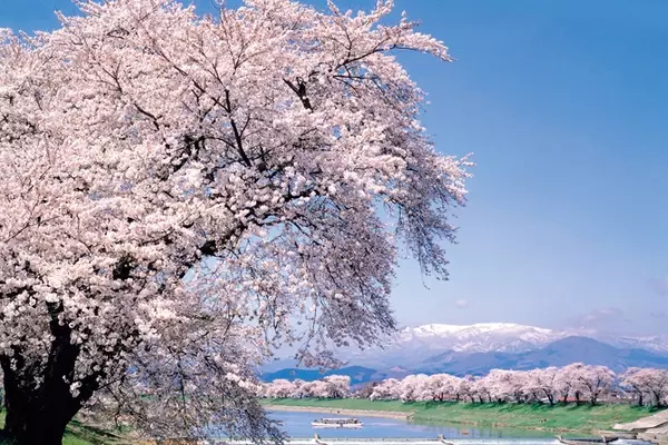 東北 一度は見たい 絶景 17選 春夏秋冬 四季折々の美しい景色が心を揺さぶる ローリエプレス