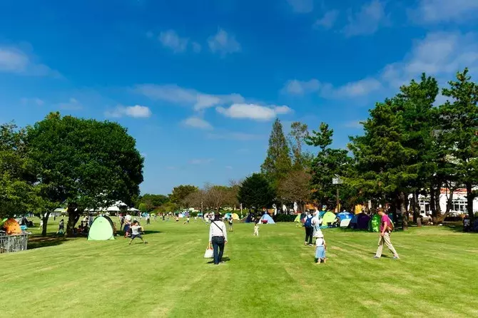 千葉 子どもが喜ぶ公園おすすめ5選 アスレチックに動物など遊び場たくさん ローリエプレス