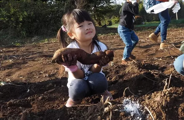 千葉 子どもが喜ぶ公園おすすめ5選 アスレチックに動物など遊び場たくさん ローリエプレス