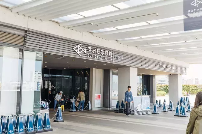 すみだ水族館デートの楽しみ方 見どころしっかり紹介 おすすめ周辺スポットも ローリエプレス