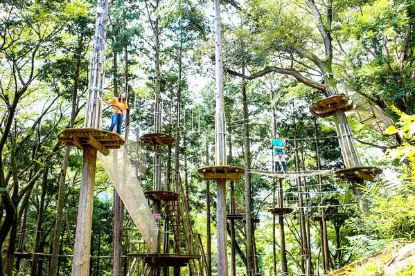 大人も本気で挑戦 神奈川県のアスレチック8選 自然豊かな森のアスレチックで遊ぼう ローリエプレス