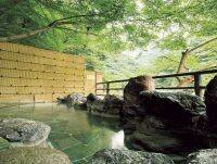 市内から1時間以内。新緑の季節に行くべき「絶景露天風呂」8選【大阪・京都・神戸】