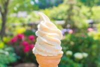 【九州】この夏食べたい絶品ソフトクリーム11選！濃厚なオリジナル生乳ソフトも