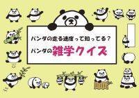 【常識】パンダ好きなら絶対わかる！パンダ雑学クイズ
