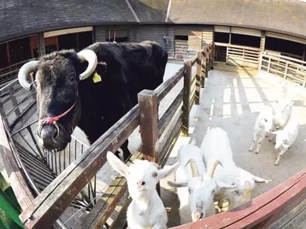 無料で楽しめる 遊び場 選 子連れにおすすめ 関西 中国 四国 ローリエプレス