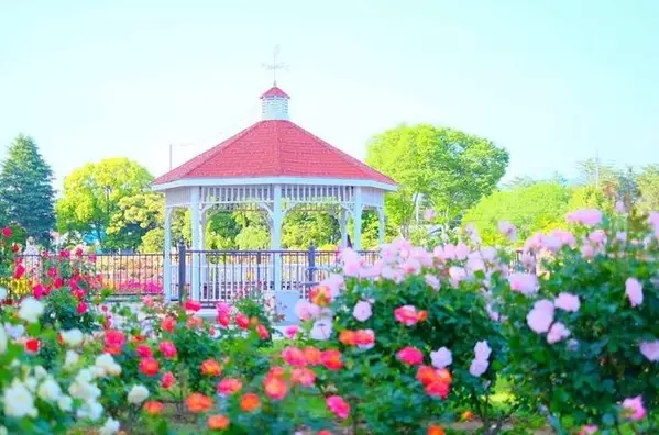 人気 バラ園 を厳選 フォトジェニックな写真が撮れる全国のスポット ローリエプレス